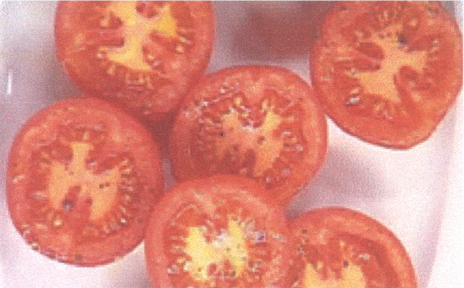 {short description of image}